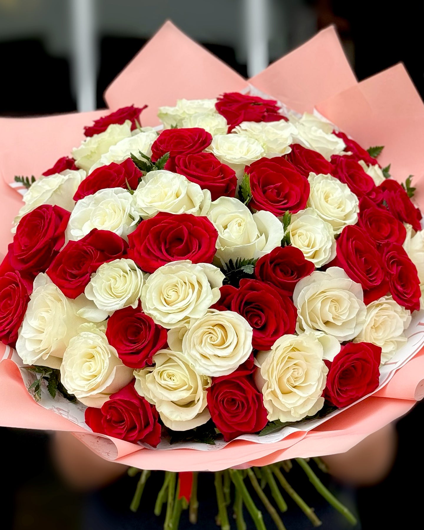 50 White and Red Roses