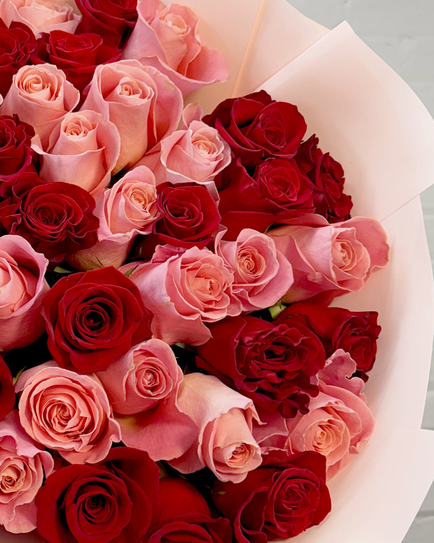 51 Pink and Red Roses