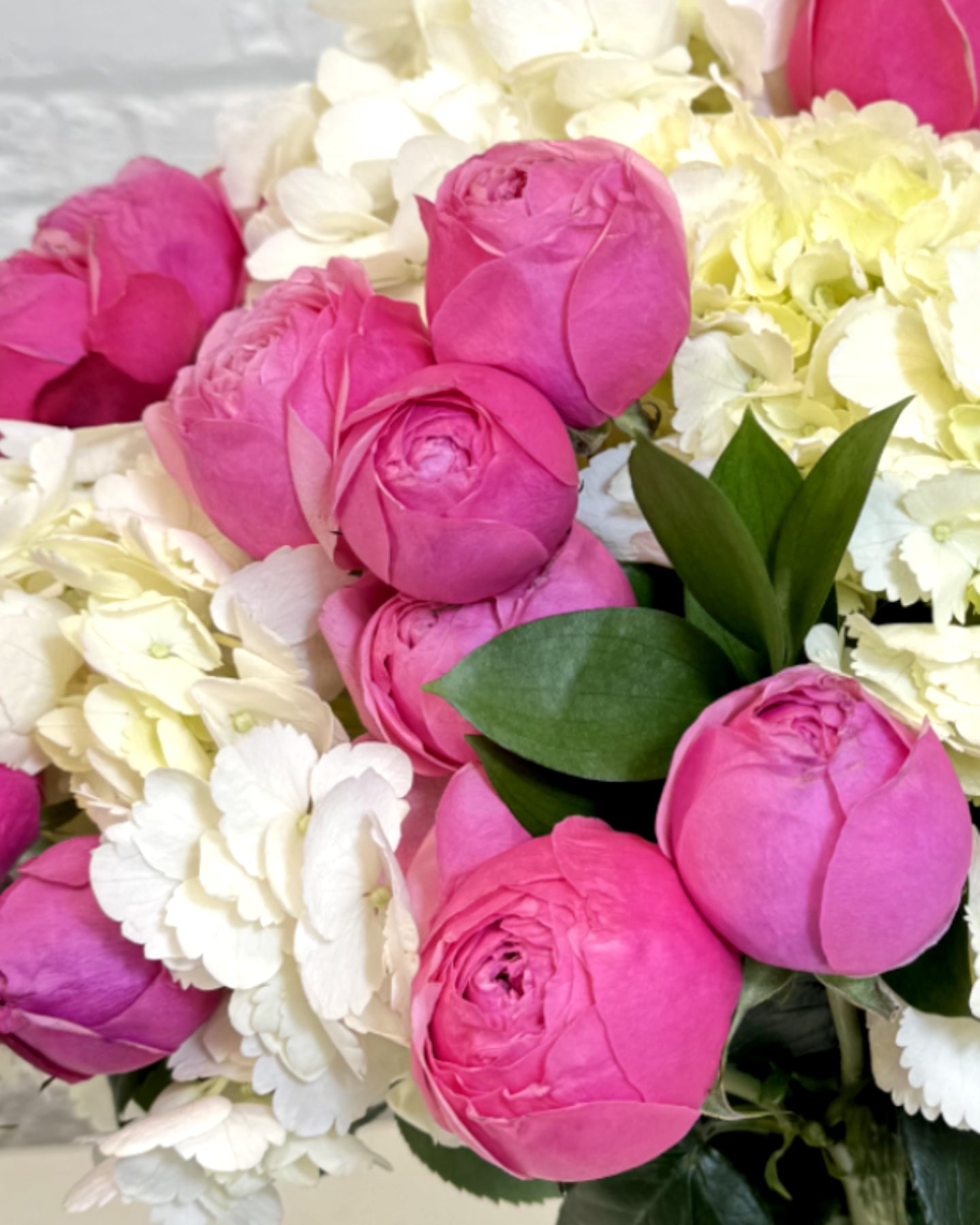 Bloom and Blush
